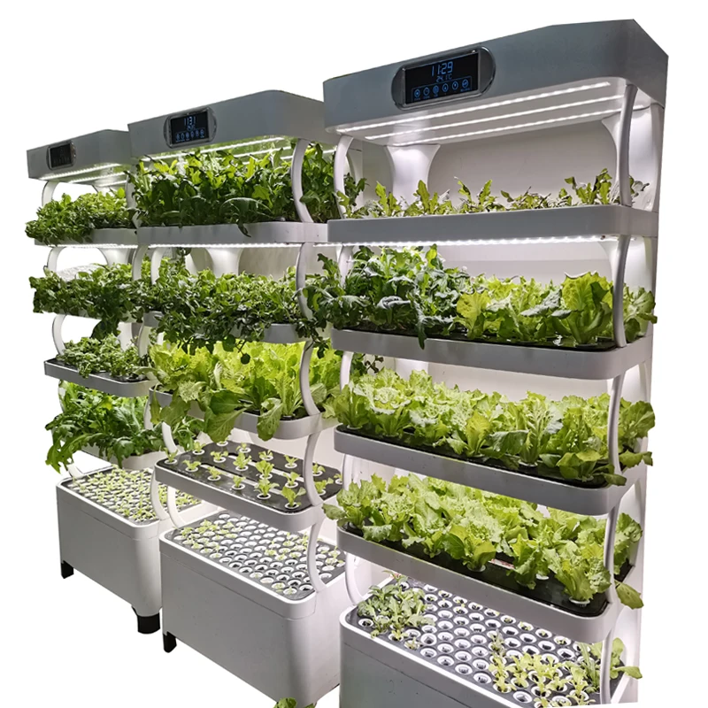 AM3 Indoor Smart Low Cost Hydroponics Vertical Garden Hydroponic Plant  Vegetable Grow Systems Kit  CE ROHS