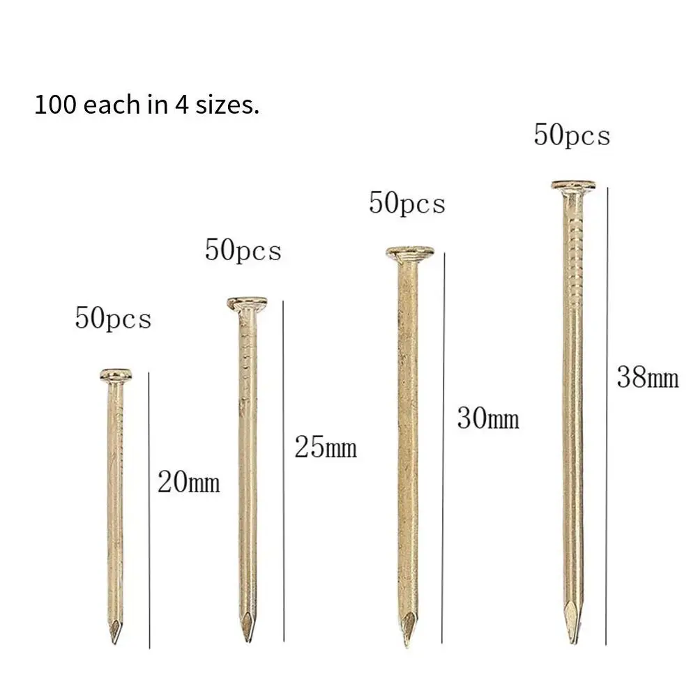 200 Pcs Steel Nail Round Head Tack Picture Nails 20/25/30/40mm Concrete Stainless Steel Nails Fastener Pushpin Hardware