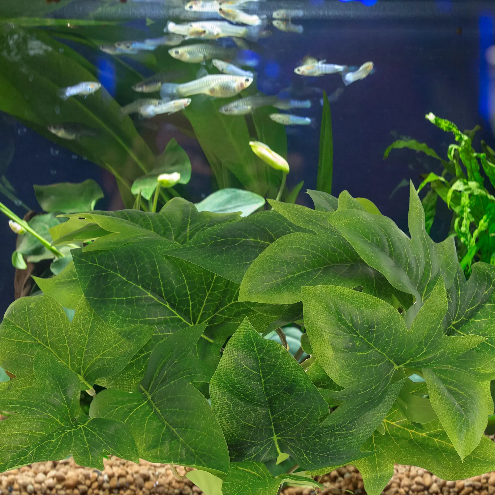 Piante Artificiali da Parete p - Aquarium Plant Vine recensione e prezzo