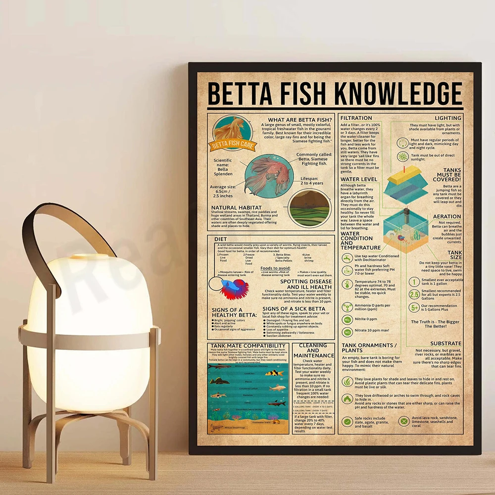 Betta fish knowledge poster, betta fish art, everything about betta fish, knowledge retro poster, educational wall decoration