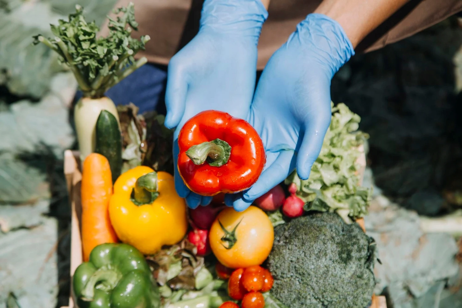 سماد مغنزيوم كالسيوم دولوميت ، 20