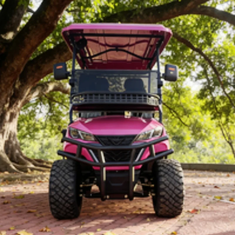 

Электрический гольф-кар для экскурсий с литиевой батареей 72В, высококачественный, с 12-дюймовыми внедорожными шинами, бампером и передней корзиной