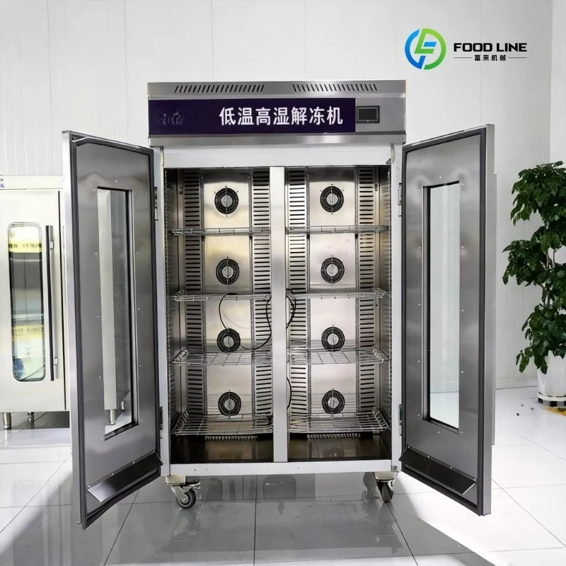 FL Wholesale Grade Automatic Low Temperature High Humidity Thawing Cabinet Machine with Digital Control Plant Customized
