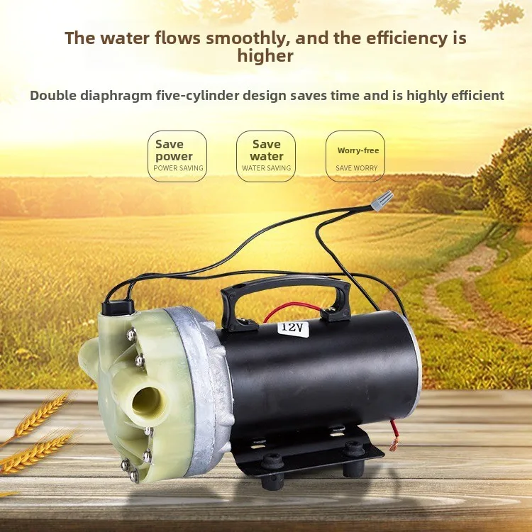 Wear Resistant DC 5-Cylinder Diaphragm Pump, 12V/48V/60V Power Supply for Electric Vehicle, Pesticide Spraying Machine