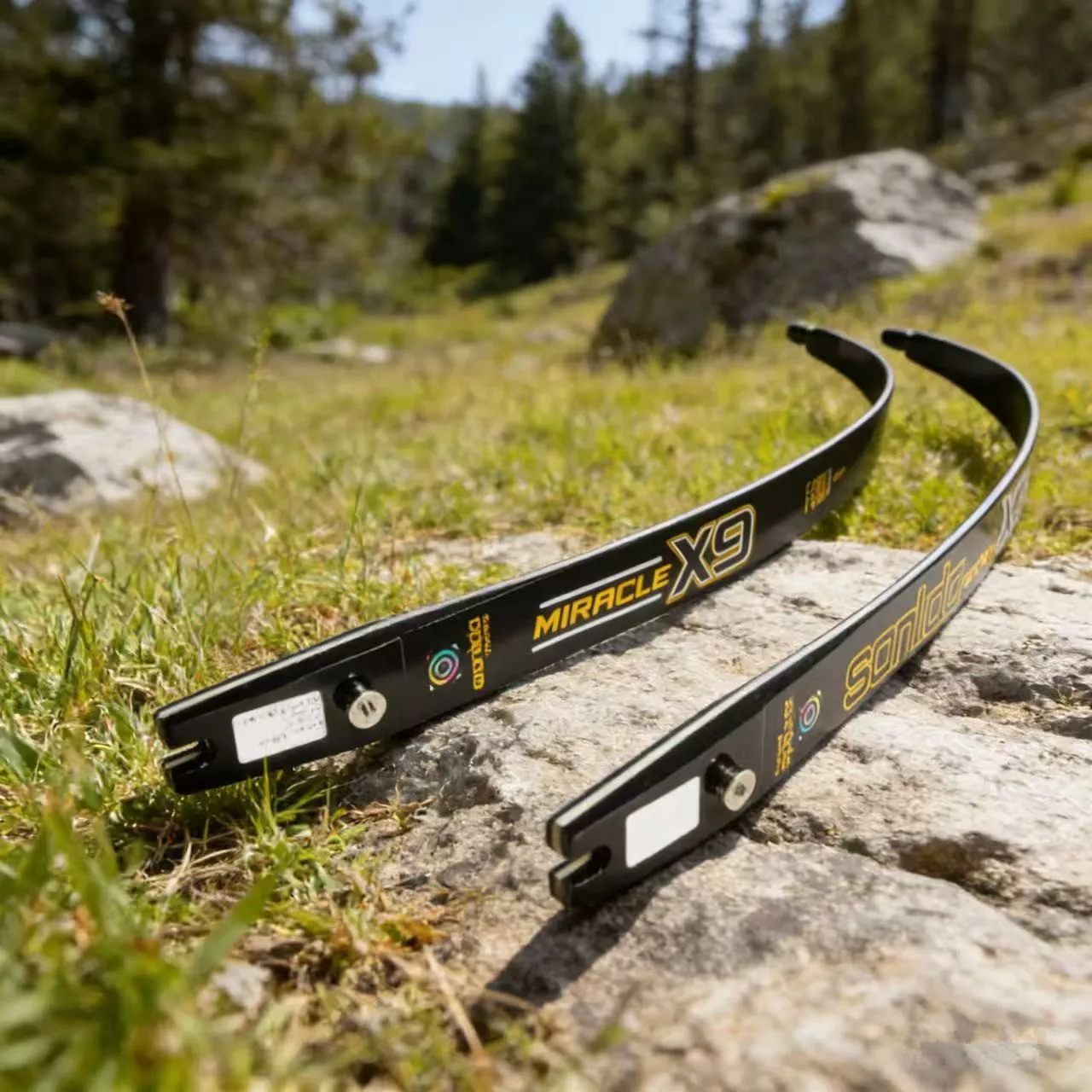 

Новые луки Sanlida Miracle X9 Intermediate Archery Limbs 16-44LBS ILF Recurve Bow Limbs из графитового пеноматериала для охоты и стрельбы