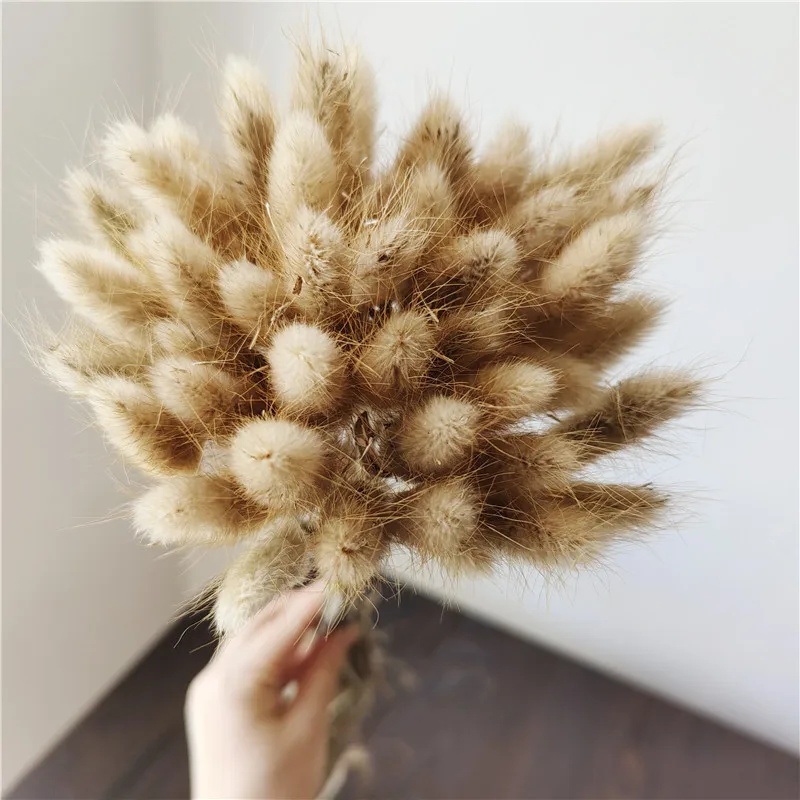 

Natural Bunny Tails Dried Flowers 60psc Rabbit Pampas Grass for Boho Home Decor Wedding Party Decoration Arrangement Craft