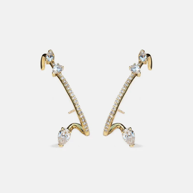 

Jenny&dave Fashion Blogger S925 Pure Silver Diamond Inlaid Zircon Versatile Light Luxury Temperament Ear Hanging Earrings 2026