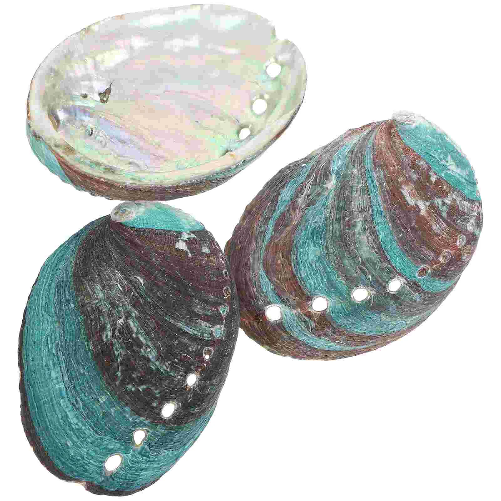 

3 Pcs Natural Shell Abalone Decorative Ornaments Smudging Kit Smudge Holder Sink Tray for Home Seashells Offering Empty Bowl