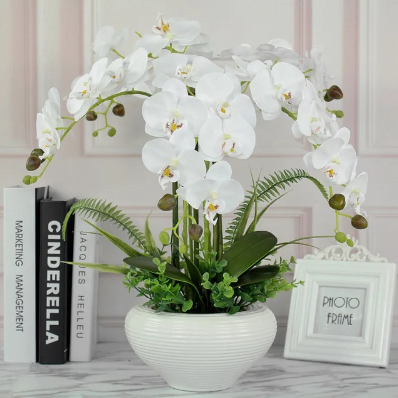 produits-chauds-fleurs-naturelles-artificielles-de-phalaenopsis-plantes-d'orchidees-plantes-en-pot