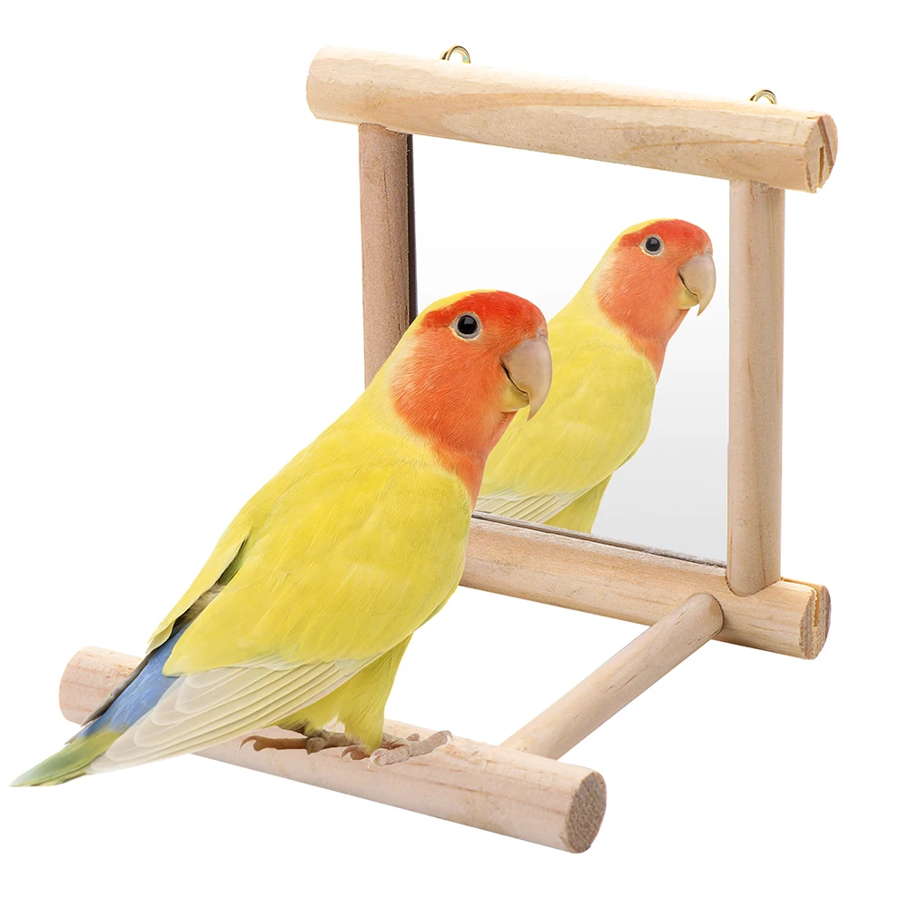 Bird Mirror with Wooden Perch Interactive Hanging Toy Game for Parrot Budgie Parakeet Cocker Conure Finch Budgie Bird Supplies