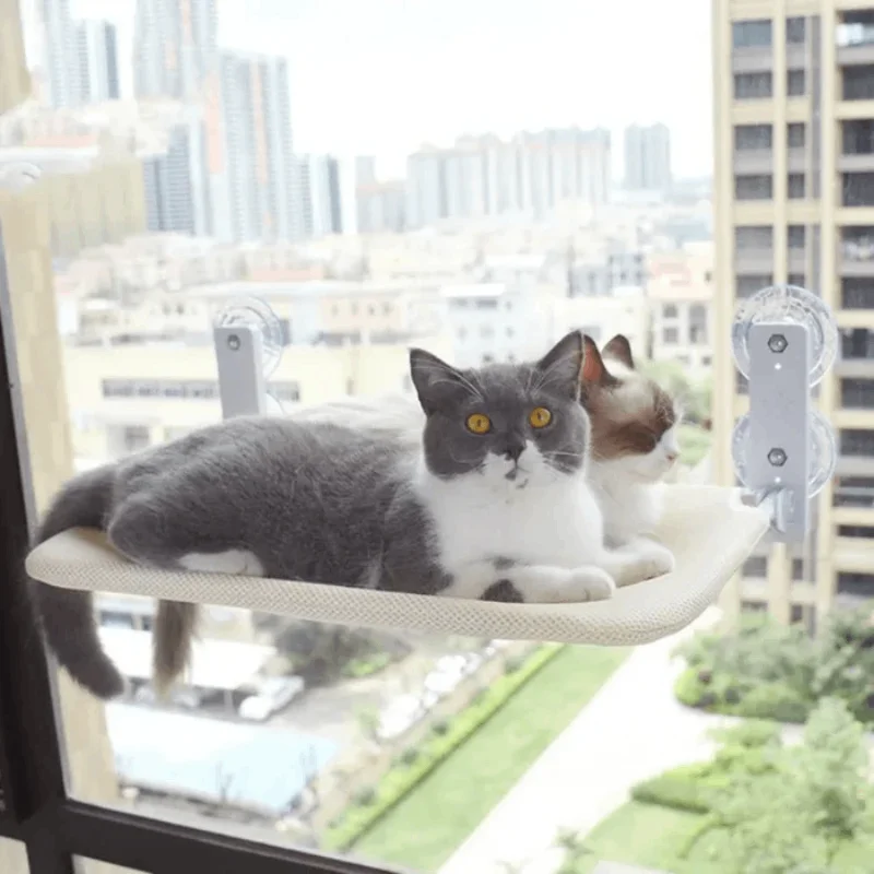 Cat hammock foldable window suction cup hanging nest, cat sunbathing hanging bed, wall mounted cat climbing frame, cat hammock