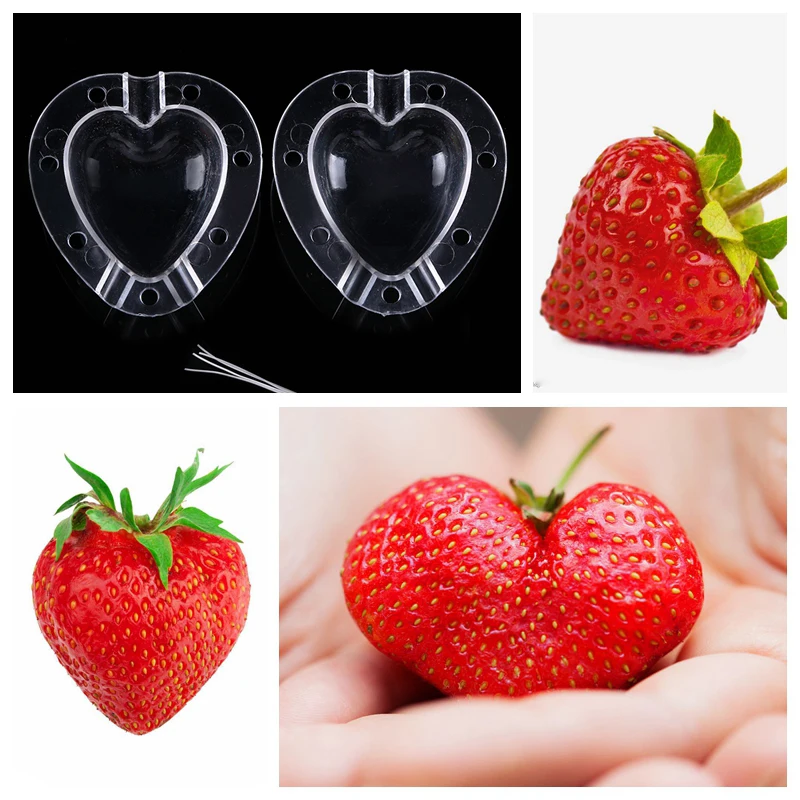 4 Types Fruit Vegetable Mold Stereotype Pentagram Heart Shaped Garden Cucumber Growth Forming Transparent Mould Plastic Tools