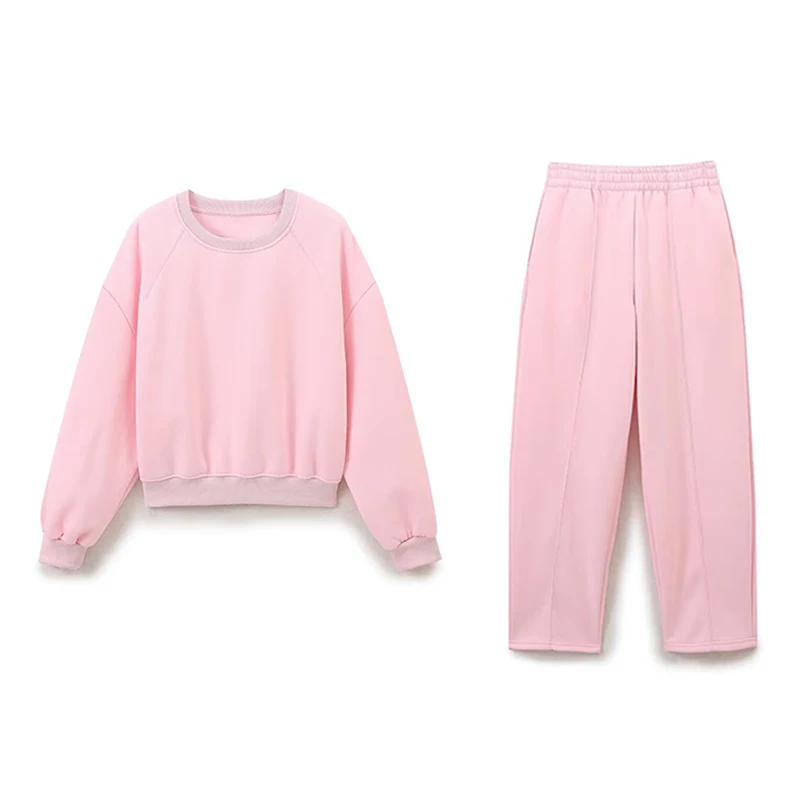 Pink Plushed Sweatshirt And Wide Leg Pant Set Sweet Casual Style New Autumn O-neck Loose Pullover Tops + Long Trouser Women Set