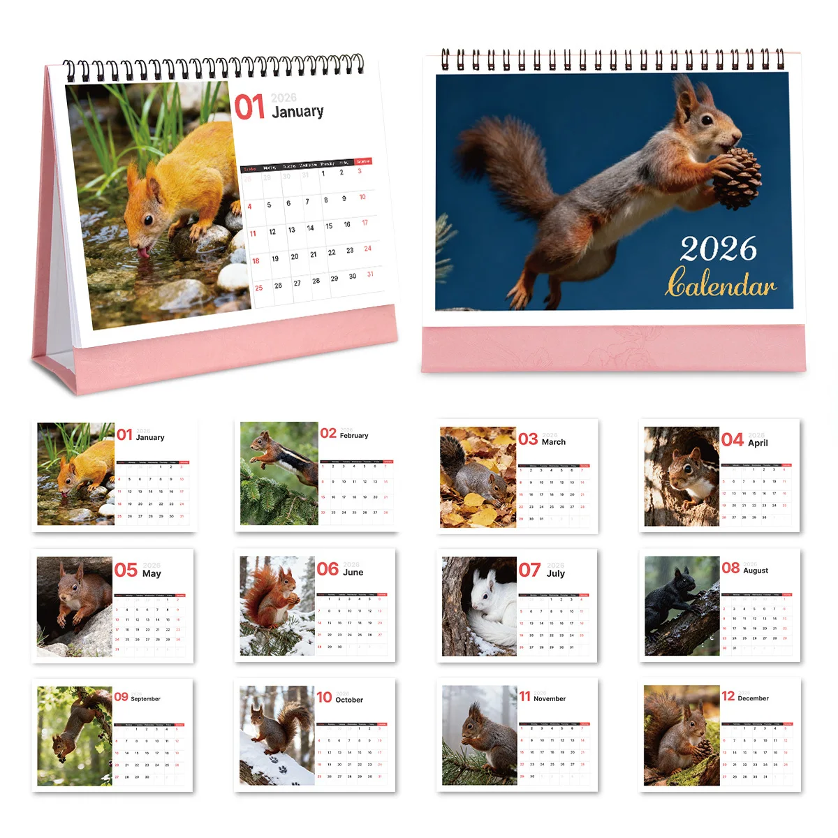 

1PC Lively Squirrel-Themed Desktop Calendar for Office Desk & Home Decor Perfect for Wildlife Fans Great 2026 New Year Gift
