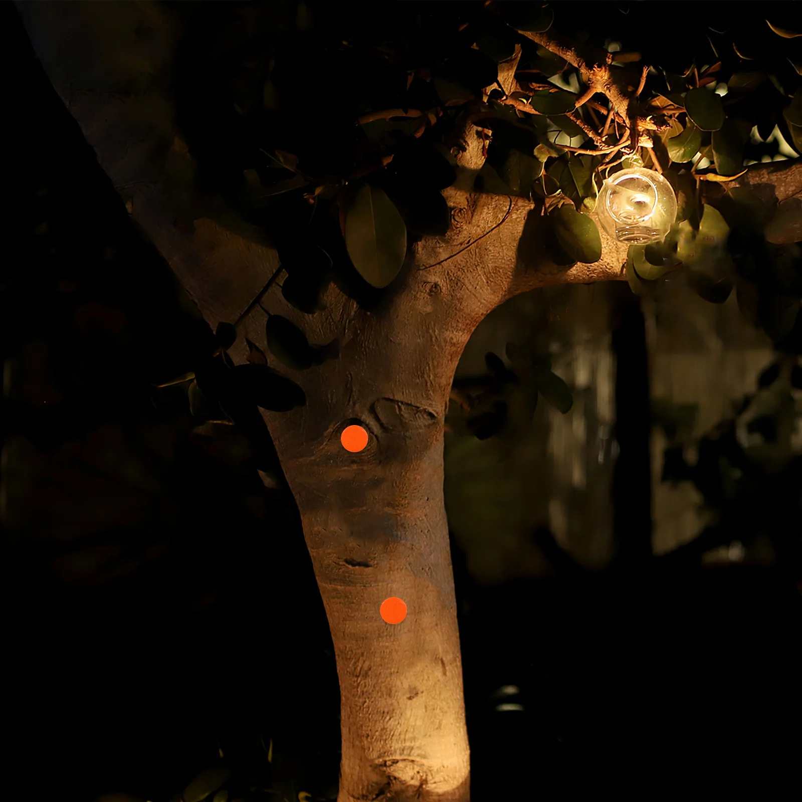 

50Pcs Reflective Trail Marking Tacks Flat Head Glow Thumbtacks for Night Visibility Hiking Camping Trail Safety