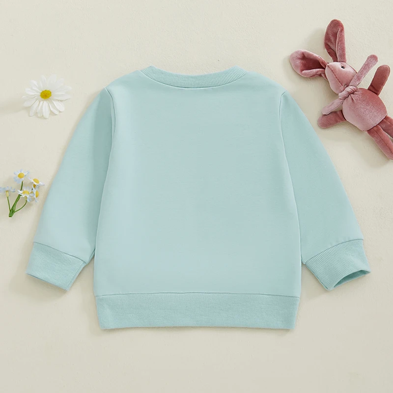 Lioraitiin Toddler Boys Girls Easter Sweatshirt Bunny Embroidery Crew Neck Long Sleeve Pullover Tops Casual Spring Clothes