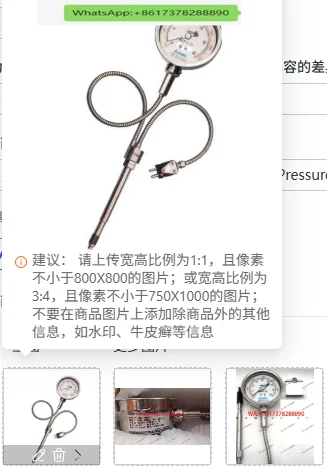 T135B-40MPa Series Pointer Melt Pressure Gauge 4-20mA Transmitter Output Pressure Transducer
