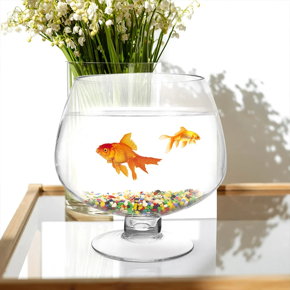 

Transparent Goldfish Tank Glass Desktop Aquarium for Betta Fish Clear Plant Compatible Fine Craftsmanship Smooth Surface Home