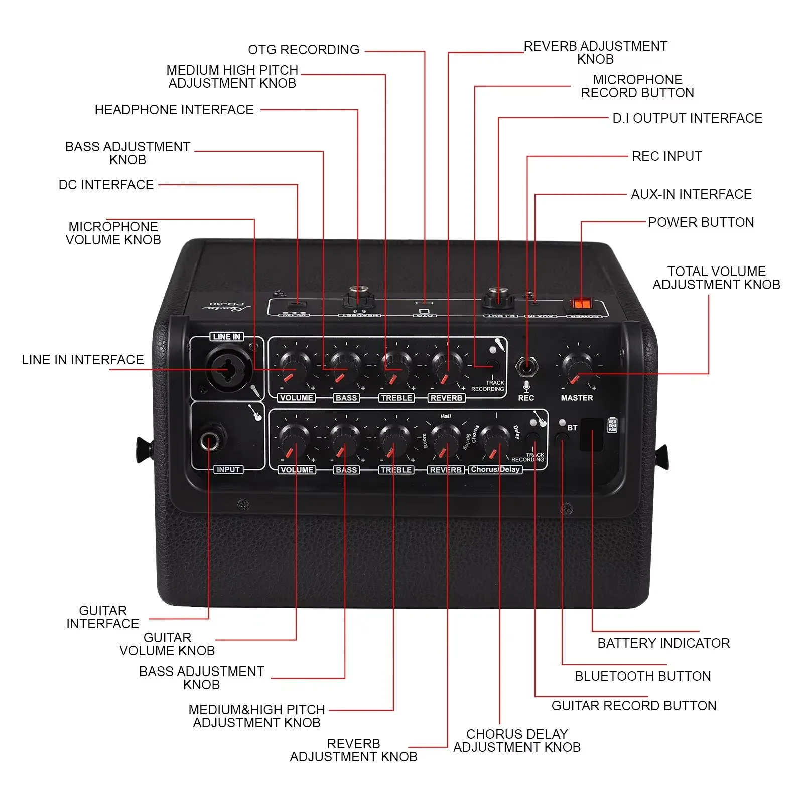 Rowin 30W Bass Guitar Amplifier Multi-Function OTG BT Battery Buildin Combo Amp Reverb Chorus Multi effect Microphone Inputs Aux