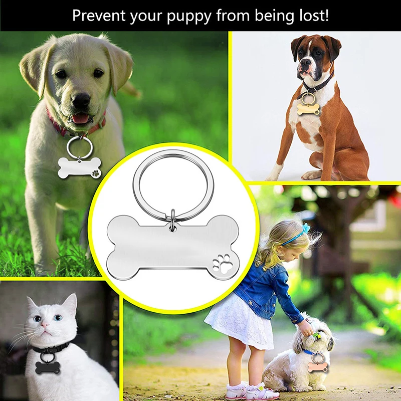 Pet Dog Tags Shiny Steel Kitten Puppy Anti-lost Collars Tag for Dog Cat  Pet Accessoires Dog Accessories for Small Dogs