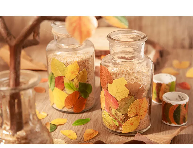 50 Stück gelbe Herbstblätter-Serie, kreative Pflanzenaufkleber für die Handkonto-Dekoration – Detail 12