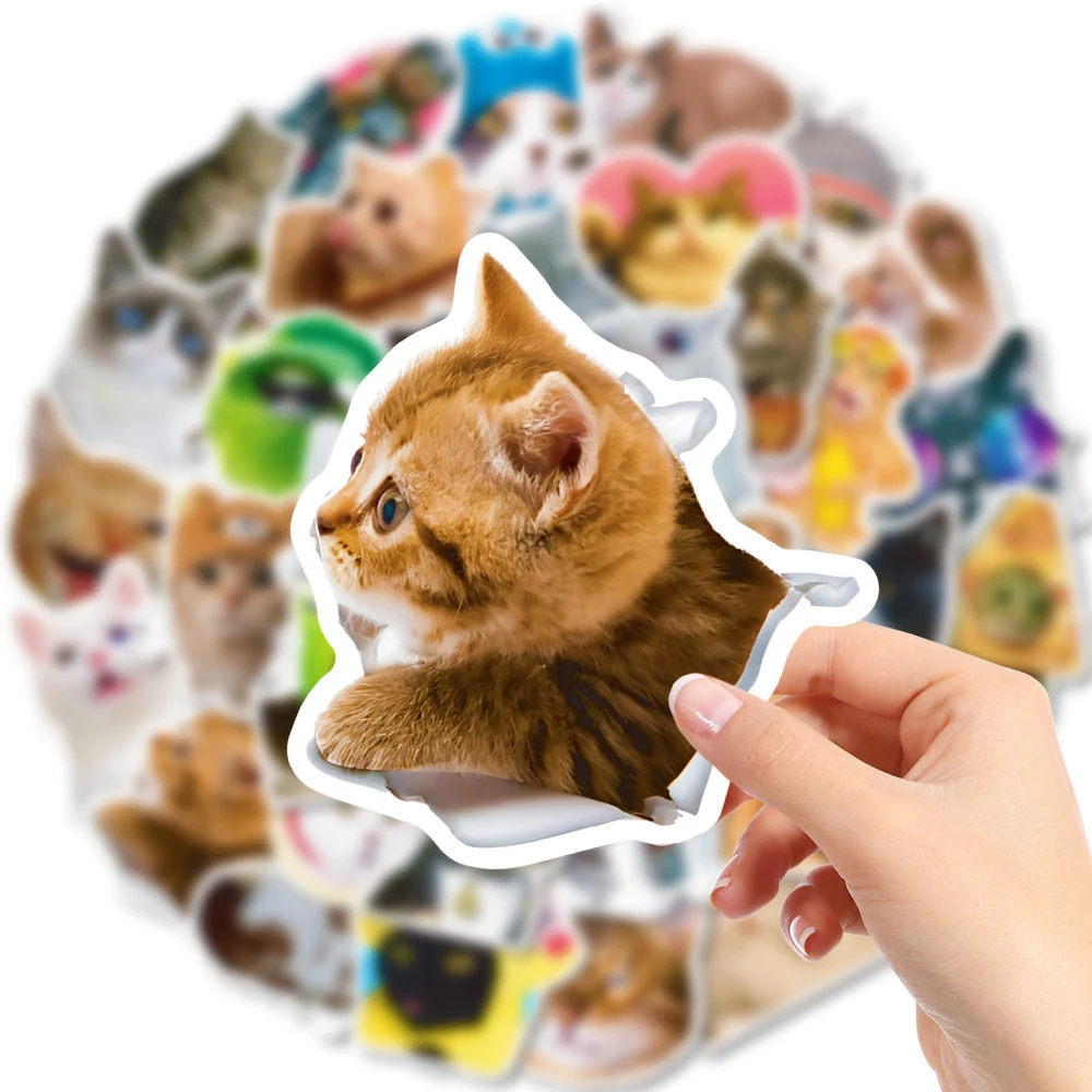 10/30/50pcs Funny Cat Meme Stickers for DIY Decor Stationery Suitcase Water Bottle Phone Laptop Scrapbooking Cute Decals Toys