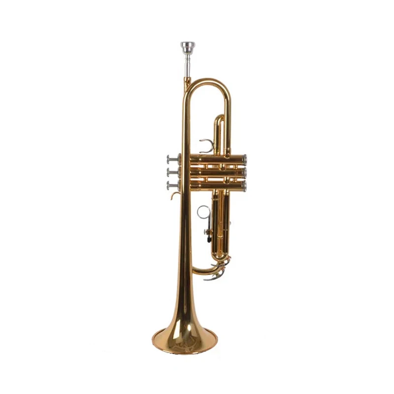 ياماها YTR-200DR B أداة البوق المسطح للطلاب والكبار والأطفال والمبتدئين امتحان اللعب والتدرج، نسخة نحاسية #2