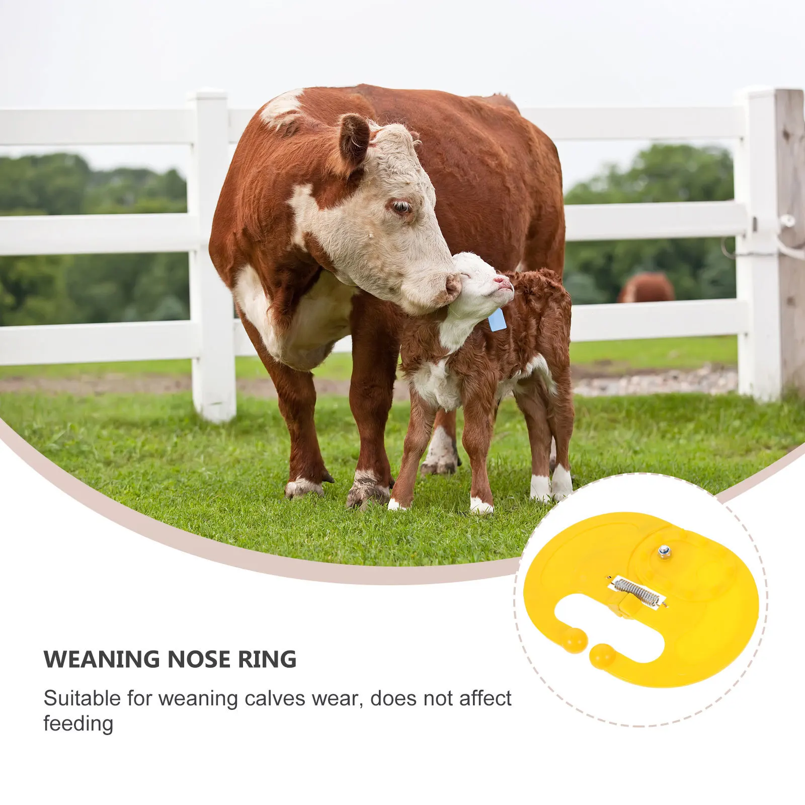

10Pcs Cattle Weaner Set Durable Practical Easy Operation Livestock Equipment Calf Weaning Tool Calf Weaner Livestock Equipment