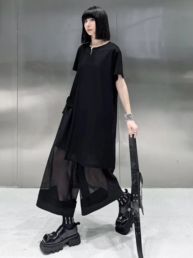 [EAM] Big Size Mesh T-shirt Wide Leg Pants Two Piece Suit New Round Neck Short Sleeve Women Fashion Spring Summer 2024 1DH5411