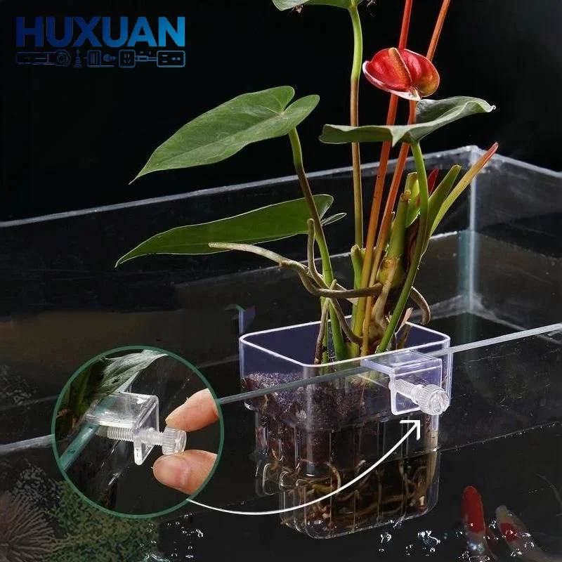 Przezroczysty wiszący doniczka – Aquarium Plant Easy To Grow recenzja i cena