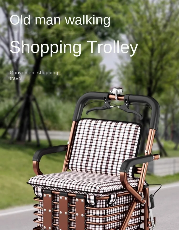 Foldable trolley for the elderly can push a sitting and walking shopping cart