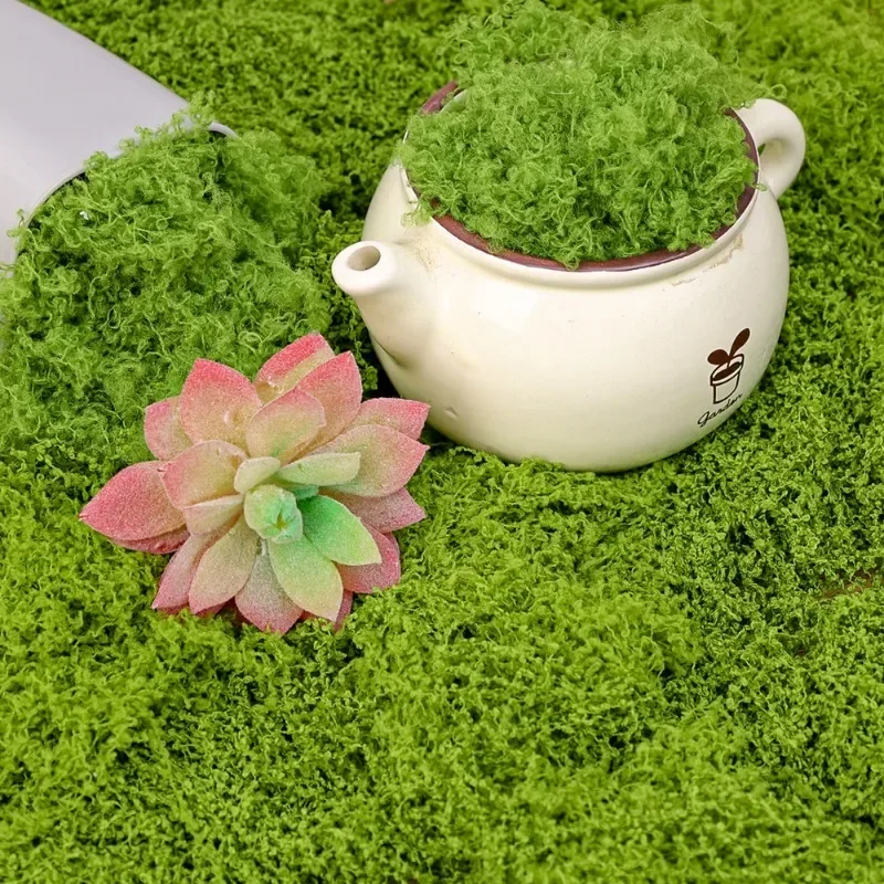 Eternal Life Moss Artificial Green Plants Fake Grass for Home Living Room Garden Mini Landscape Moss Decorations DIY Crafts 500g