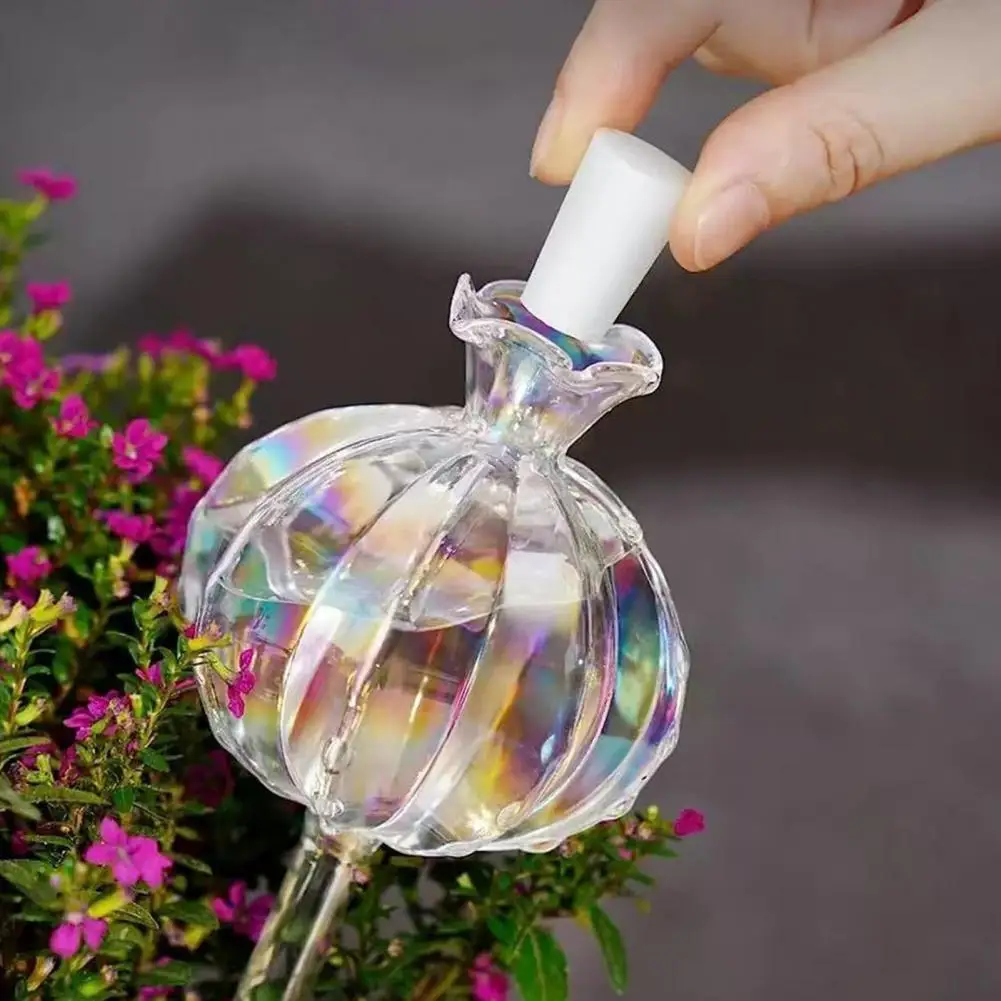 24cm Cactus Self Watering Bulb - Self Watering Insert recension och pris