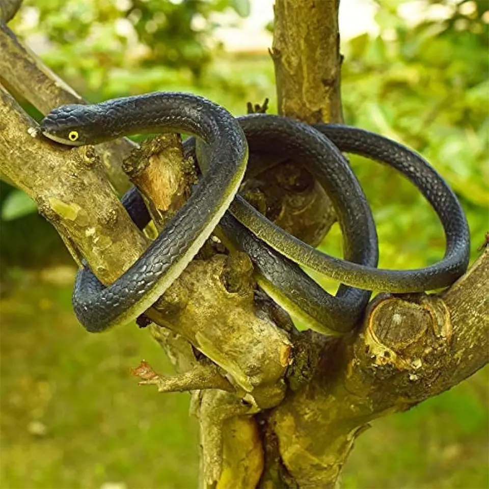 Faux Serpent Serpent En Caoutchouc Réaliste 130cm - Jouet Blague Faux Serpent Serpent En Caoutchouc Réaliste 130cm - Jouet Blague
