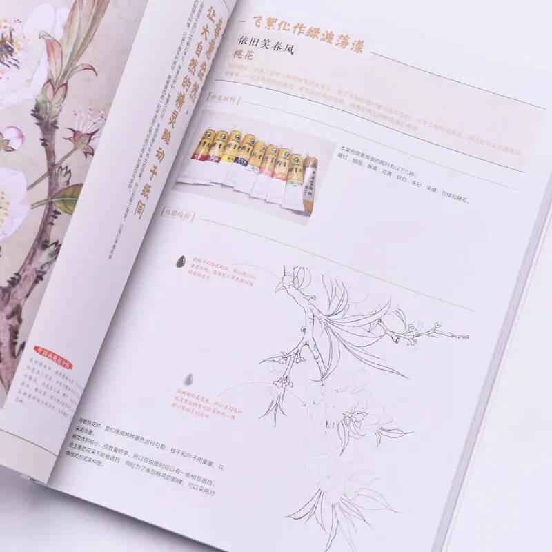 Introduction to Gongbi Drawing Techniques Tutorial Traditional Chinese Painting Xie Yi Book