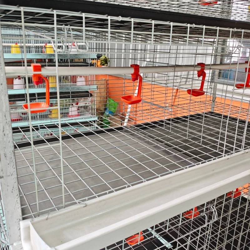 Прочная клетка для цыплят-бройлеров типа H, 4-уровневая клетка для цыплят-бройлеров, 4-уровневая клетка для цыплят-бройлеров, батарейная клетка для цыплят-фермысел