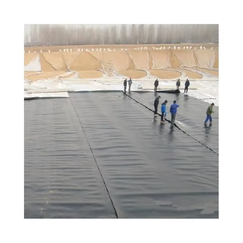 HDPE Geomembrane Pond Liner Customized Thickness Width Length for Aquaculture Reservoir and Landfill Projects Worldwide
