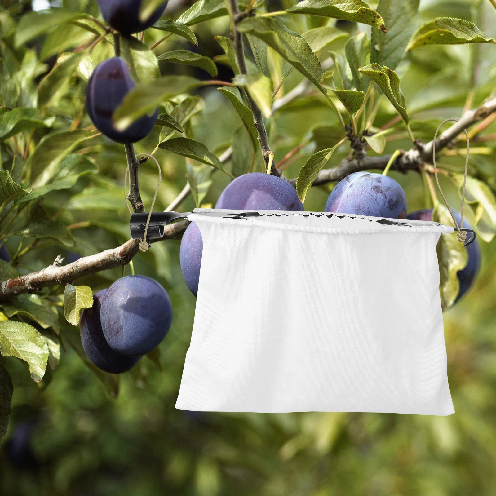 

Fruit Picker Fruits Catcher Tool Picking Basket Gardening Harvest Harvester Mango V Shaped Mouth Steel Cloth Durable Sturdy Long