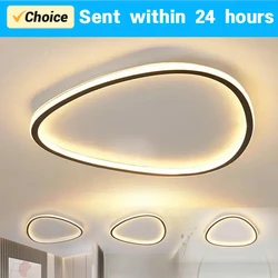 Modern LED Ceiling Lamp For Living Dining Bedroom Aisle Balcony Ceiling Chandelier Indoor Home Decoratioan Light Fixture Luster