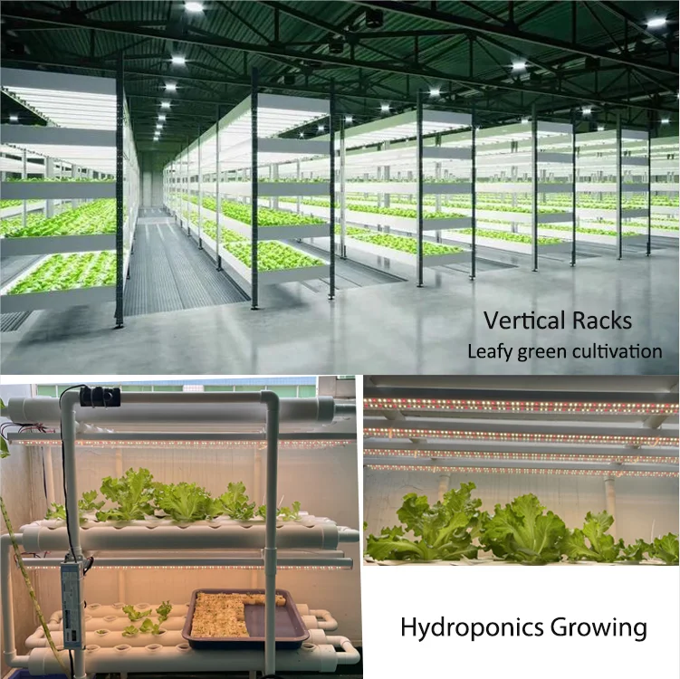 T5 Grow Lights 4ft Hydroponics - Grow Light T5 review and price