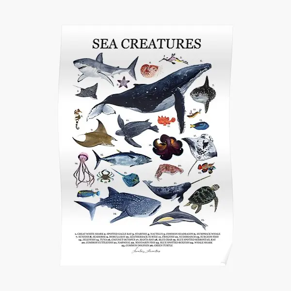 Sea Creatures Poster With Names  Poster Decoration Picture Mural Painting Room Decor Wall Funny Modern Print Art Home No Frame