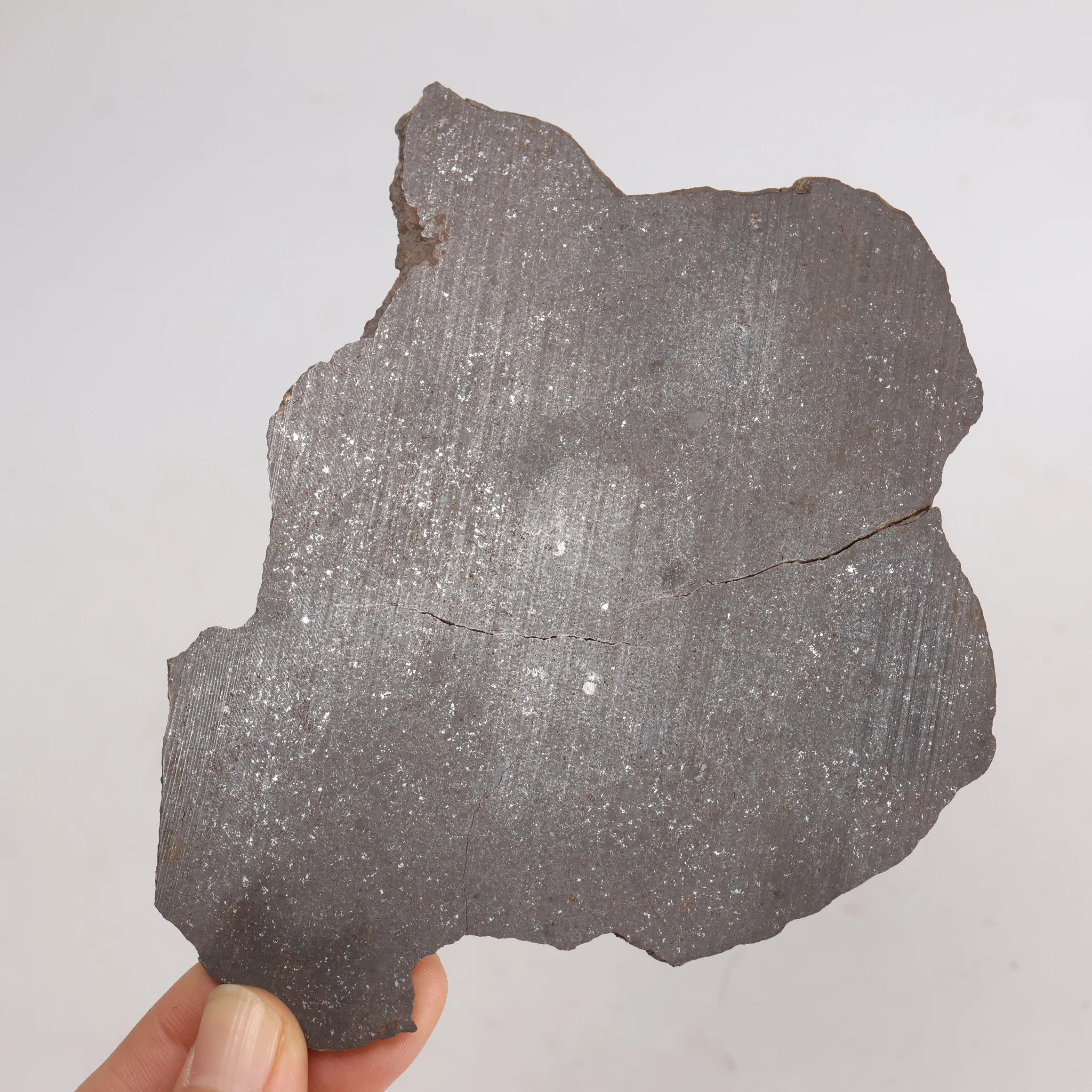 Chondrite Slices，Natural meteorite slice, Stone Meteorite Slice,