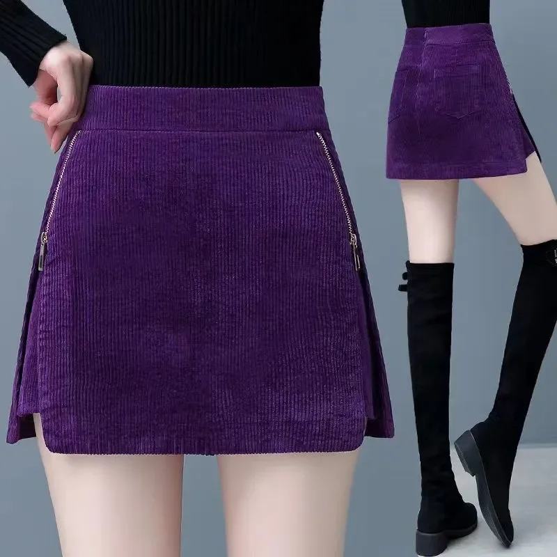 2025 New Autumn Winter Office Lady Simplicity Zipper Elastic Waist A-line Skirt Ladies All-match Solid Color Slim Mini Dress