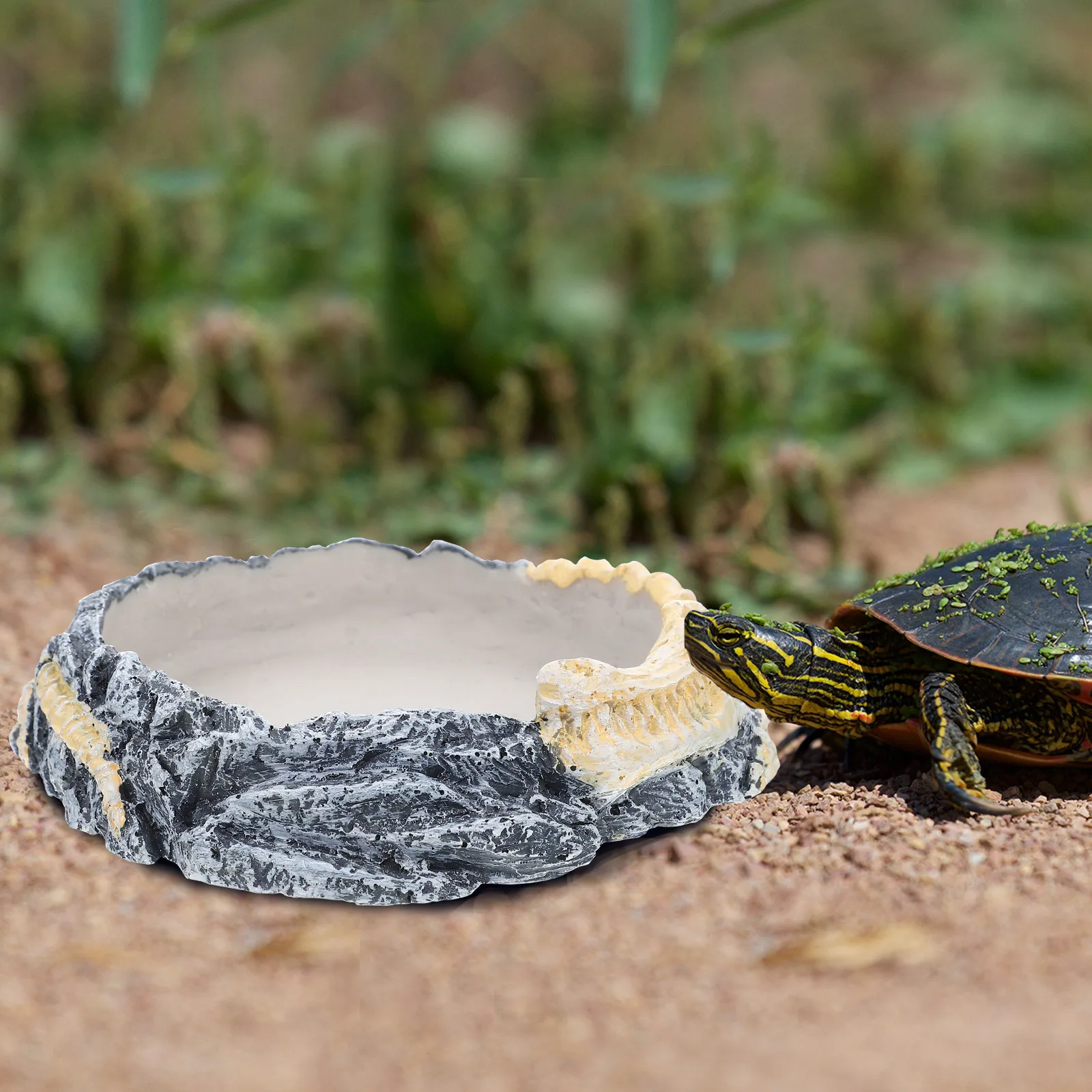 

Turtle Feeder Water Bowl for Reptiles Tray Animal Environmental Friendly Decorative Accessory Resin Multi-function