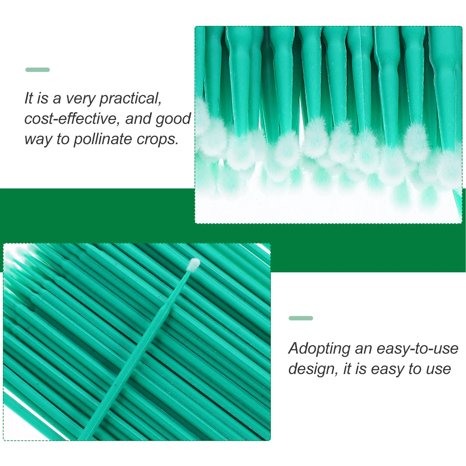 100개 화분에 심은 다육식물 배나무 수분매체 수분매체 식물 야외 생산