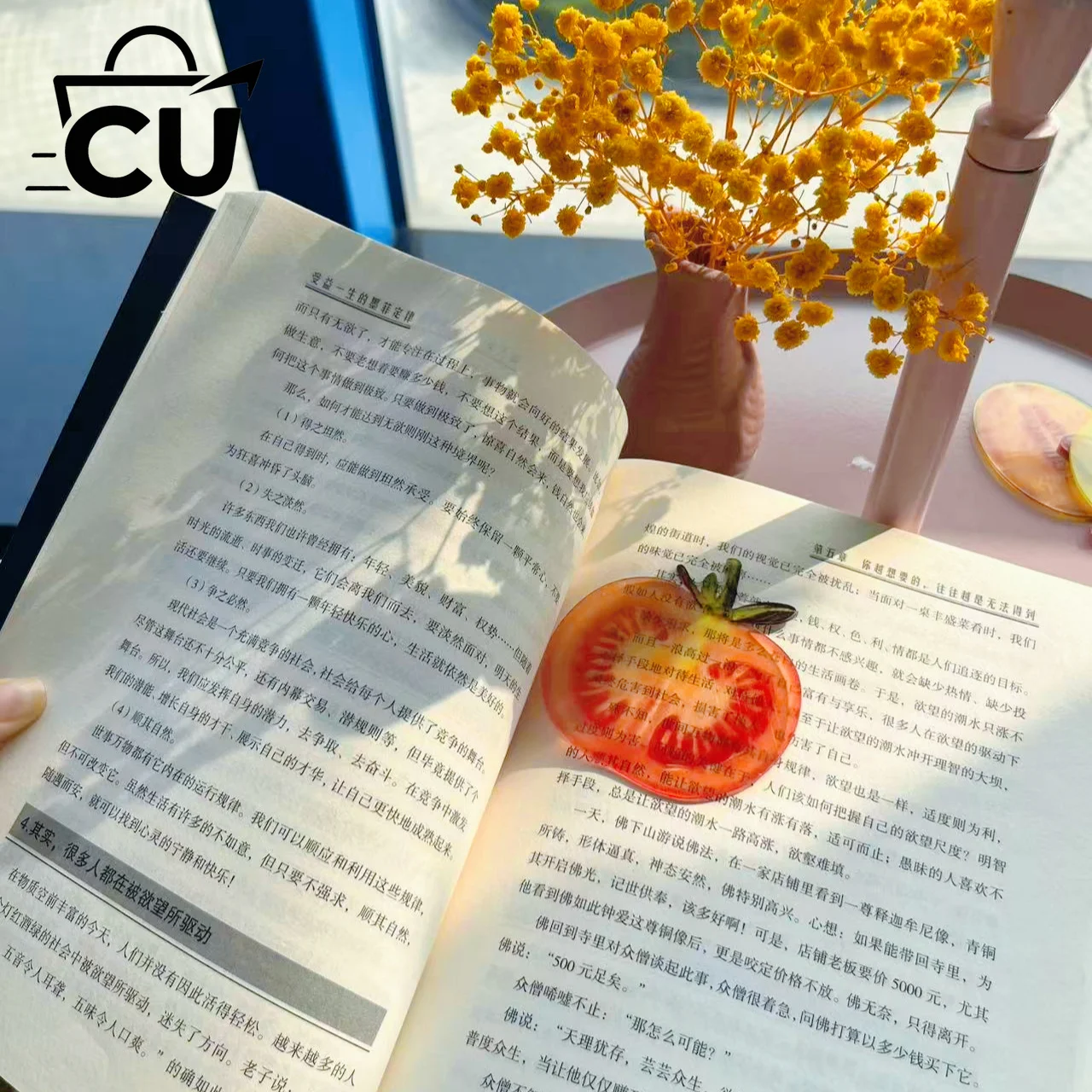 Tomato bookmark acrylic high-end sense transparent cute exquisite student gift reading mark transparent card