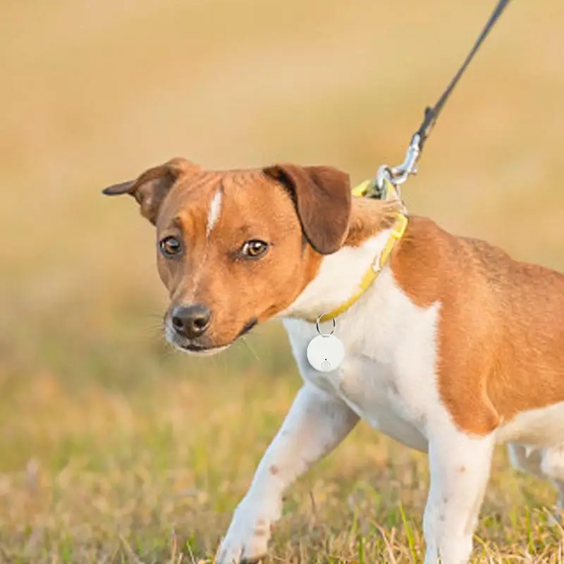 Inteligente redondo mini localizador gps anti perdido alarme carteira chaveiro bluetooth5.0 rastreador chaveiro animais de estimação criança rastreador chave localizador