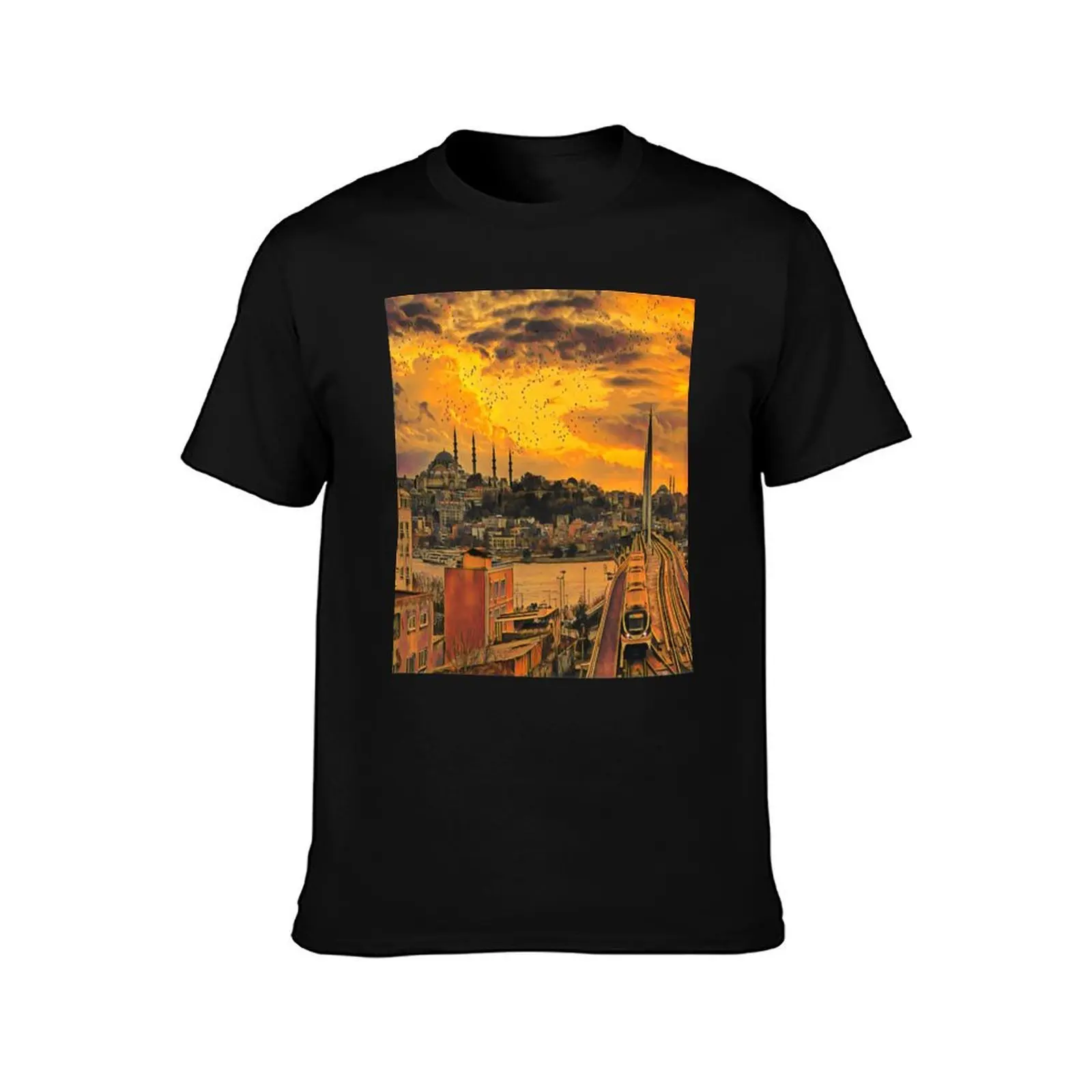 Istanbul View T-Shirt Thanksgiving Casual Tee T-Shirt