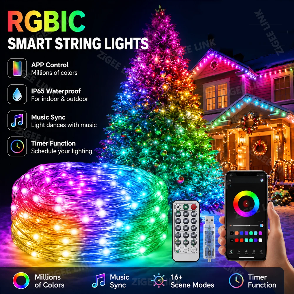 RGBIC LED String WS2812B Bluetooth USB Music Dream Color Light 5V Christmas Birthday Party Garland Decor Fairy Lights for Home