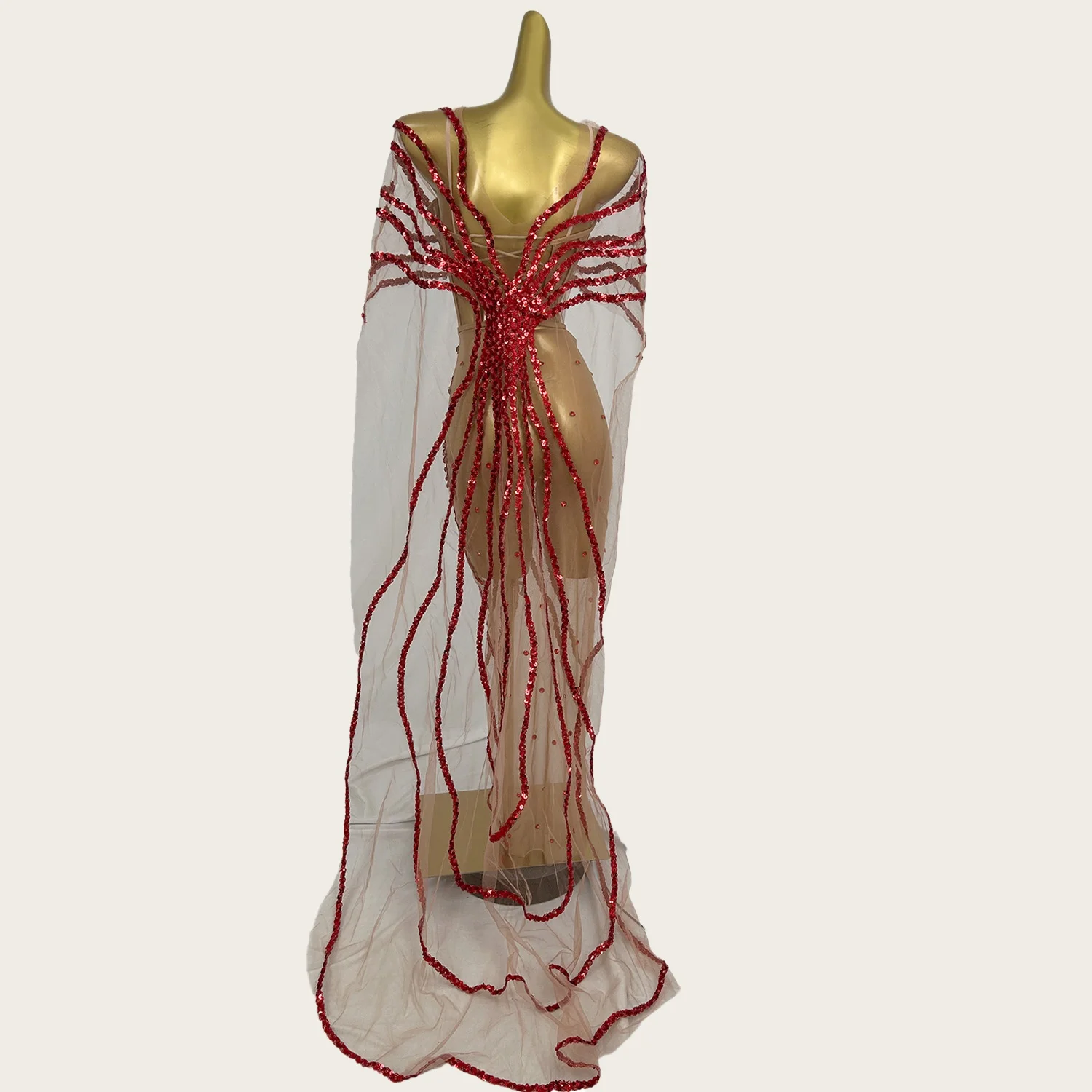 Paillettes scintillanti vedere attraverso mantello di rete abito lungo compleanno festeggiare festa servizio fotografico indossare abito da ragazza calda abito da ballo Dongmai